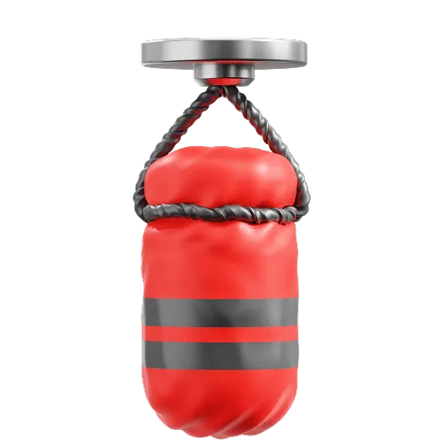 Punching Bag